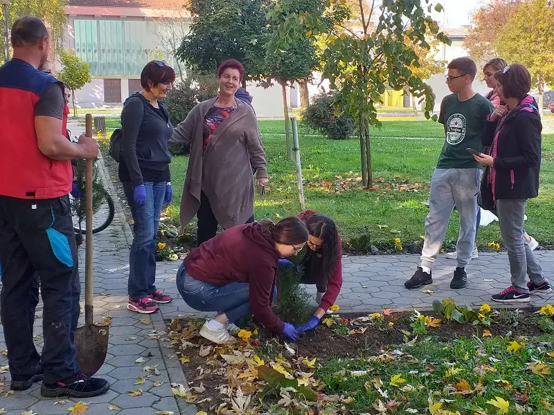 „Zasadi stablo, ne budi panj!”